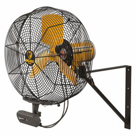 Directional Fan with Wall Mount & AEOS, 20"