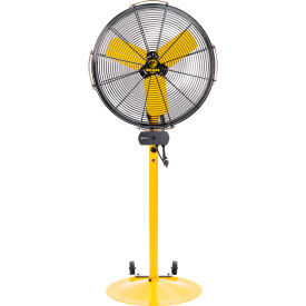 AirEye Directional Fan with Pedestal Mount/Low Rider Base, 24"