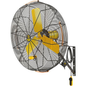 Directional Fan with Wall Mount, 30"