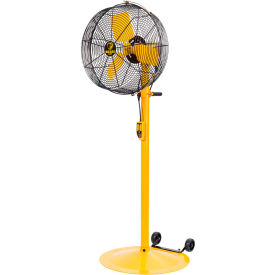 Directional Fan with Pedestal Mount/Low Rider Base, 30"