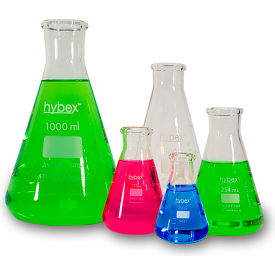 Hybex Erlenmeyer Flask, 1000ml, 6/Pk