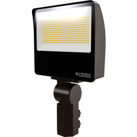 ESXF4 Floodlight, Adjustable Lumen Output, 30K-40K-50K, Yoke, Dark Bronze