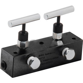 Hydraulic Manifold Block with 2 Needle Valves, 6"