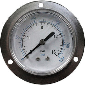Pressure Gauge for Cabinet 42000