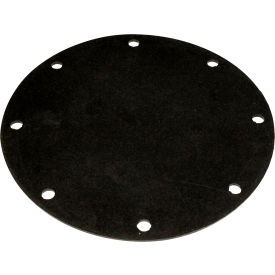 Service Port Gasket for Cabinet 42000