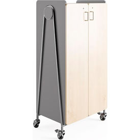 Whiffle Typical 15 Double, 19-3/4"D x 30"W x 60"H, Gray