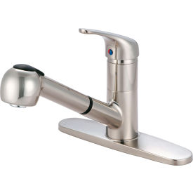 Single Handle Pull-Out Kitchen Faucet PVD Brushed Nickel