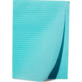 Patient Bibs, 2-Ply Tissue/1-Ply Poly, 13" x 18", Blue, 125/PK, 4 PK/Case