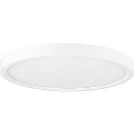 LED 11" Slim Saucer Flushmount Ceiling Light Fixture, 15W, 1050 Lumens, Dimmable