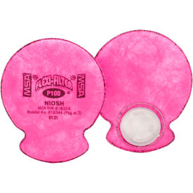 Advantage Flexi-Filter P100 with Nuisance Level AG and HF Removal, Pack of 2