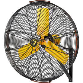 AirEye 36" Directional Fan w/ Wall Mount
