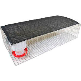 Pigeon Collapsible Trap, Steel, Silver