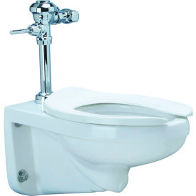 One Manual Floor Mounted Toilet System with Flush Valve, 1.28 GPF