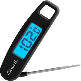 Compact Folding Digital Thermometer, Black
