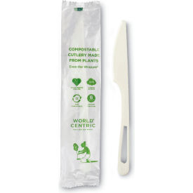 Compostable Knife, TPLA, White, Pack of 750