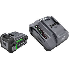 Flex Lithium Ion Battery & Charger Starter Kit