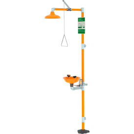 Safety Station with Eye & Face Wash, Shower Head & Bowl