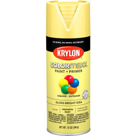 Colormaxx Paint & Primer, 12 oz., Gloss Bright Idea