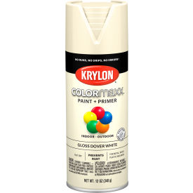 Colormaxx Paint & Primer, 12 oz., Gloss Dover White