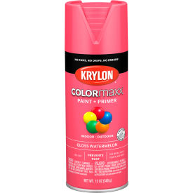 Colormaxx Paint & Primer, 12 oz., Gloss Watermelon