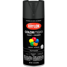 Colormaxx Paint & Primer, 12 oz., Flat Black
