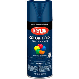 Colormaxx Paint & Primer, 12 oz., Satin Black