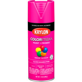 Colormaxx Paint & Primer, 12 oz., Gloss Mambo Pink
