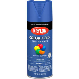 Paint & Primer, 12 oz., Satin Iris