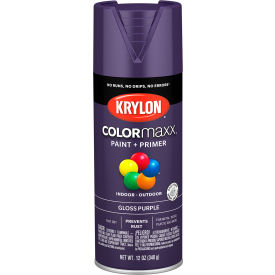 Colormaxx Paint & Primer, 12 oz., Gloss Purple