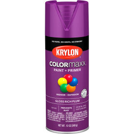Colormaxx Paint & Primer, 12 oz., Gloss Rich Plum