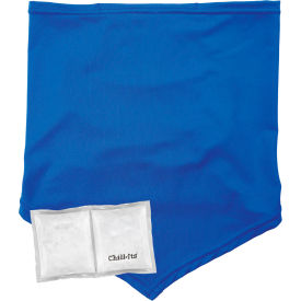 Cooling Neck Gaiter Bandana w/ Pocket, S/M, Blue