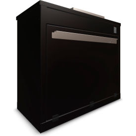 Sentinel XL48 Box Sentinel Front Loader Solar Powered Cabinet, 26"W x 50"D x 44"H, Black