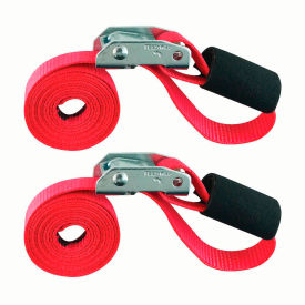 Cam Tie-Down Cinch Strap, 1500 lb. Capacity, 1" x 6', Pack of 2