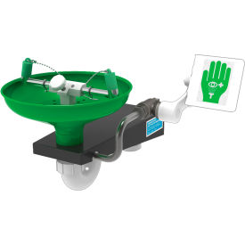 Laboratory Eye & Face Wash Station, Wall Mount, Stainless Steel Bowl