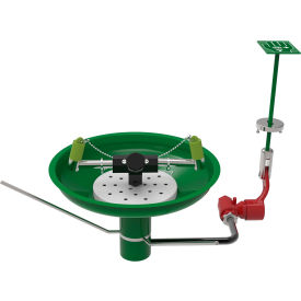 Laboratory Eye & Face Wash Station, Table Mount, Stainless Steel Bowl