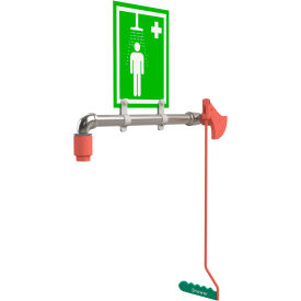 Drench Shower, Ring Main Mount, Stainless Steel Pipe, Nylon 6 Showerhead, 20 GPM