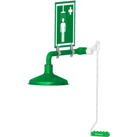 Laboratory Drench Shower, Ring Main Mount, Stainless Steel Pipe, 20 GPM