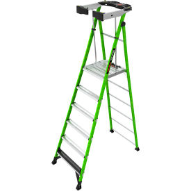 6' Type IAA, 6 Step, 375 lb Cap Fortress Platform Ladder with Wraparound Enclosure