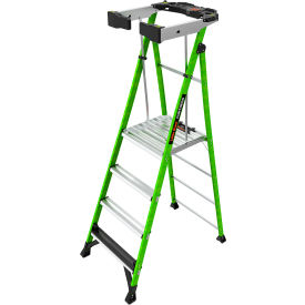 4' Type IAA Fortress Platform Ladder with Wraparound Enclosure, 4 Step, 375 lb Capacity