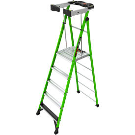 Fortress Platform Ladder w/ Wraparound Enclosure, 5' Type IAA, 5 Step, 375 lb Capacity