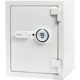 Biometric Fireproof Safe, 15-3/8"W x 13-13/16"D x 19-11/16"H, Metallic Gray