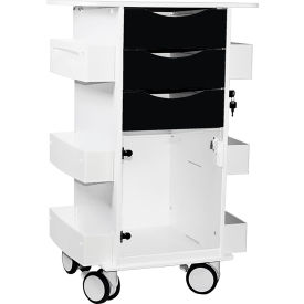 Core DX Cart w/ Hinged Door, 22-7/8"L x 20-1/8"W x 35-5/8"H, White