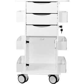 Core DX Cart Gray w/ Hinged Door, 22-7/8"L x 20-1/8"W x 35-5/8"H, White