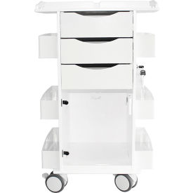 Core DX Cart Gray Hinged Door & Railtop, 22-7/8"L x 20-1/8"W x 35-5/8"H, White
