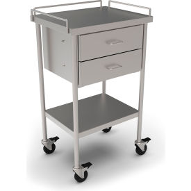 Stainless Steel Mobile Utility Table, 20 x 16", Undershelf, Guardrail & 2 Drawers