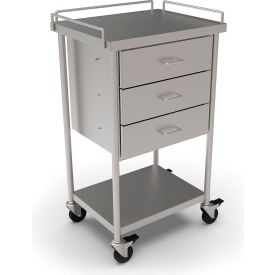 Stainless Steel Mobile Utility Table, 20 x 16", Undershelf, Guardrail & 3 Drawers