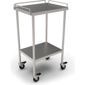 Stainless Steel Mobile Utility Table, 20 x 16", Undershelf & Guardrail, 304 Grade