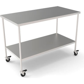 Stainless Steel Mobile Instrument Table, 48 x 24", Undershelf, 304 Grade