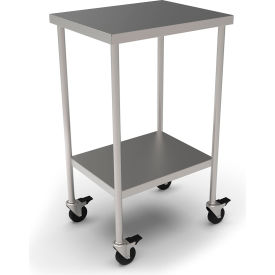 Stainless Steel Mobile Utility Table, 20 x 16", Undershelf, 304 Grade