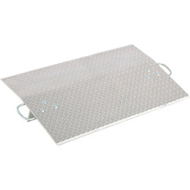Aluminum Economizer Dock Plate, 42"W x 24"L, 3600 lb. Capacity